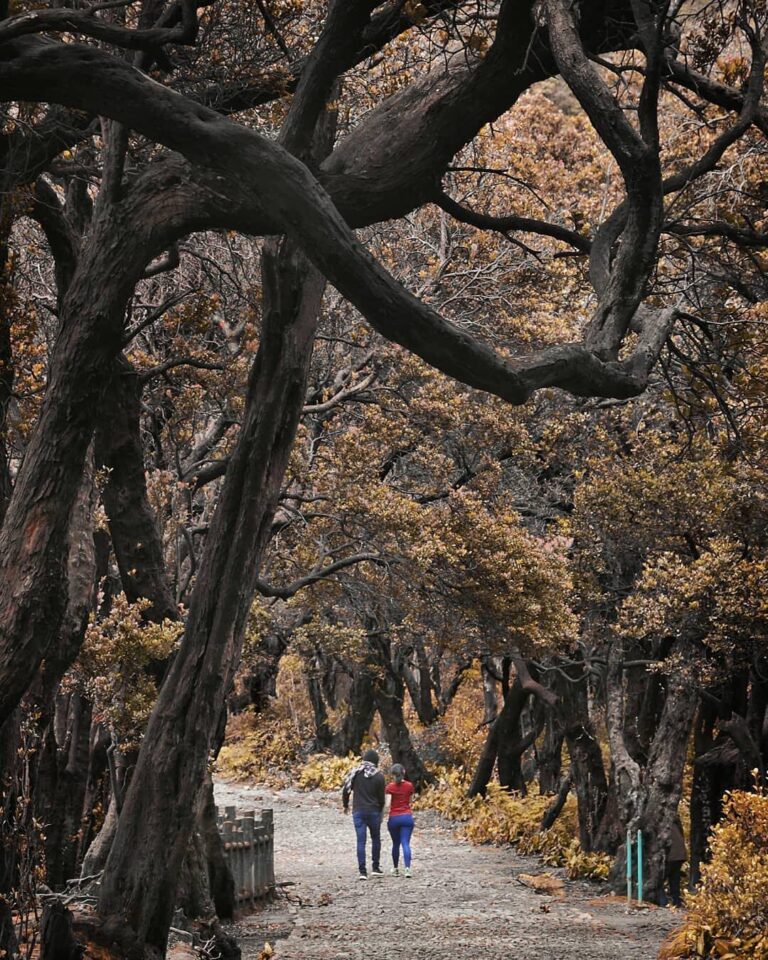 Healthy body leads to healthy mind. So, start your weekend morning with a small ...