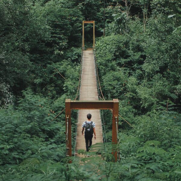 Hear the wind rustling through the trees in Taman Hutan Raya Djuanda. Taken by 
...