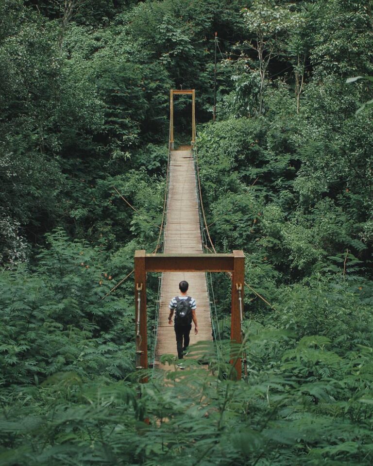 Hear the wind rustling through the trees in Taman Hutan Raya Djuanda. Taken by 
...