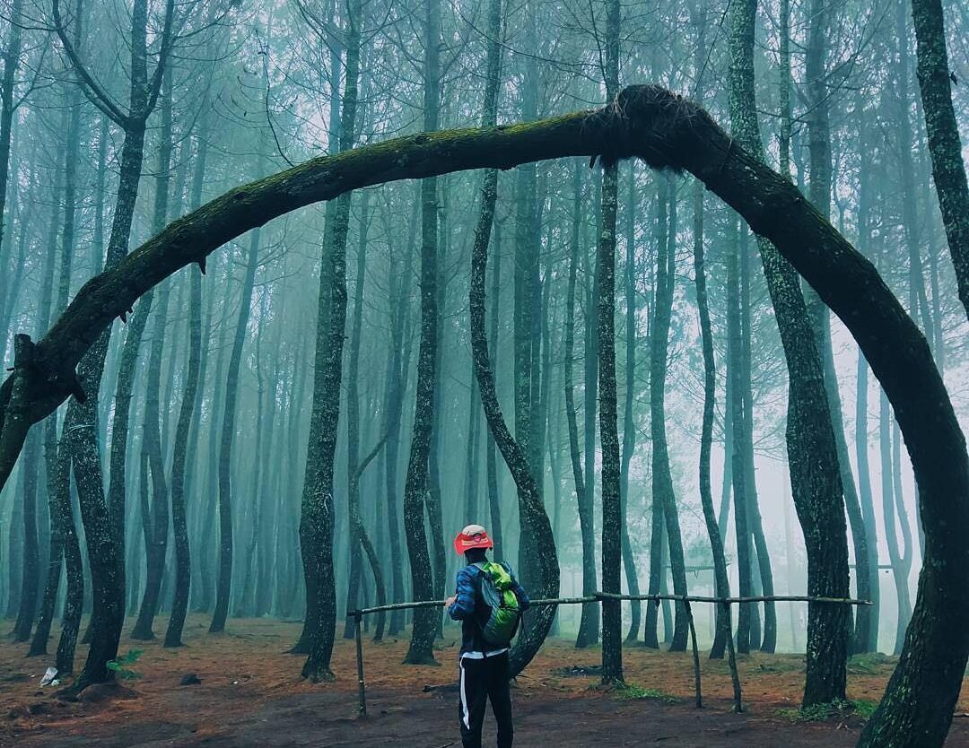 Let's wander to where the soul seeks peace. Captured by  #explorebandung...