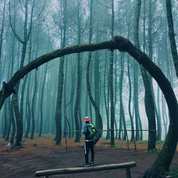 Let's wander to where the soul seeks peace. Captured by  #explorebandung...