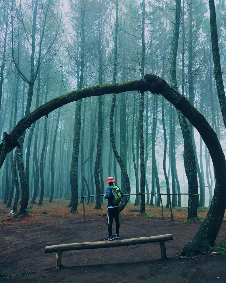 Let's wander to where the soul seeks peace. Captured by  #explorebandung...
