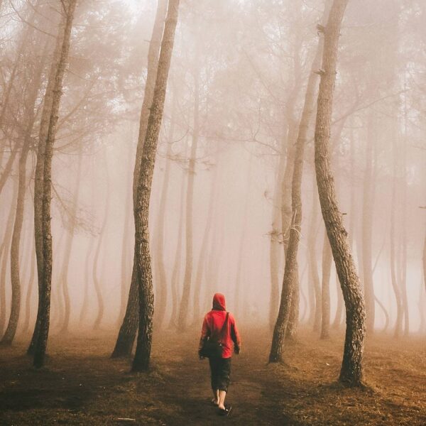 Lookout for the Big Bad Wolf that creeps behind you like a shadow. Gunung Putri ...