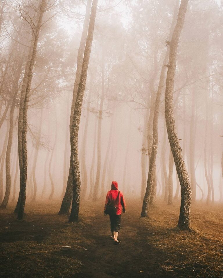 Lookout for the Big Bad Wolf that creeps behind you like a shadow. Gunung Putri ...