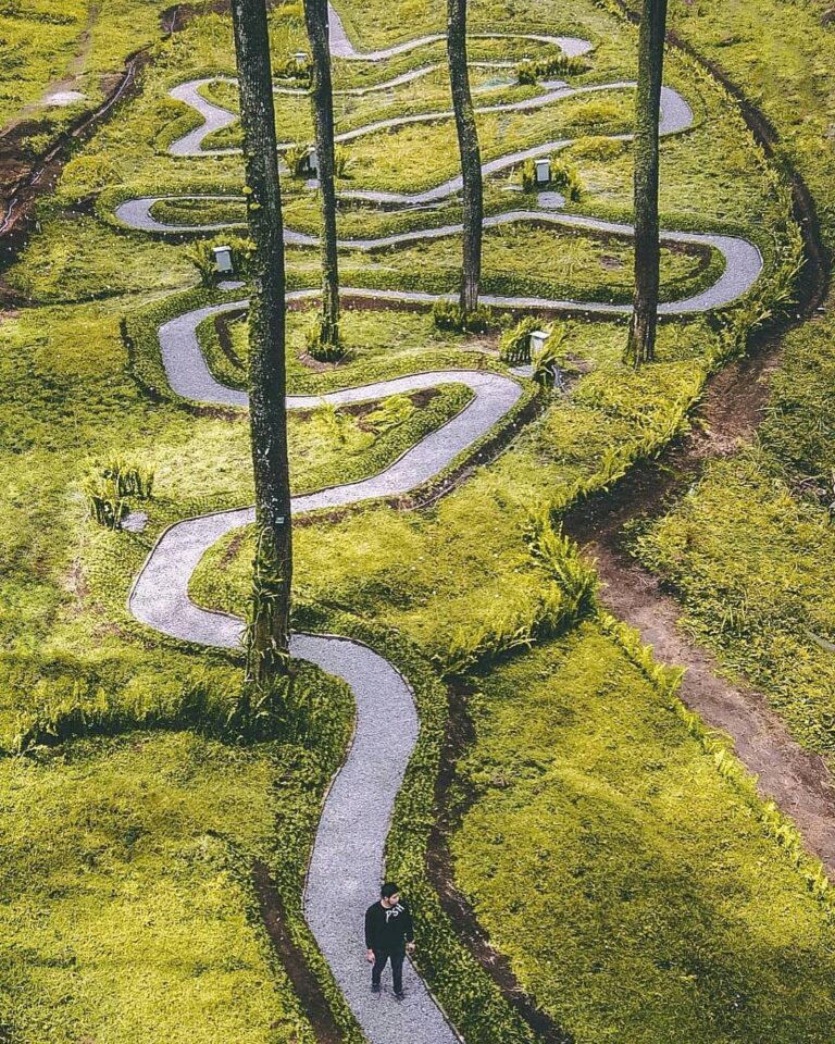 Otherworldly path in Orchid Forest captured by  #explorebandung...