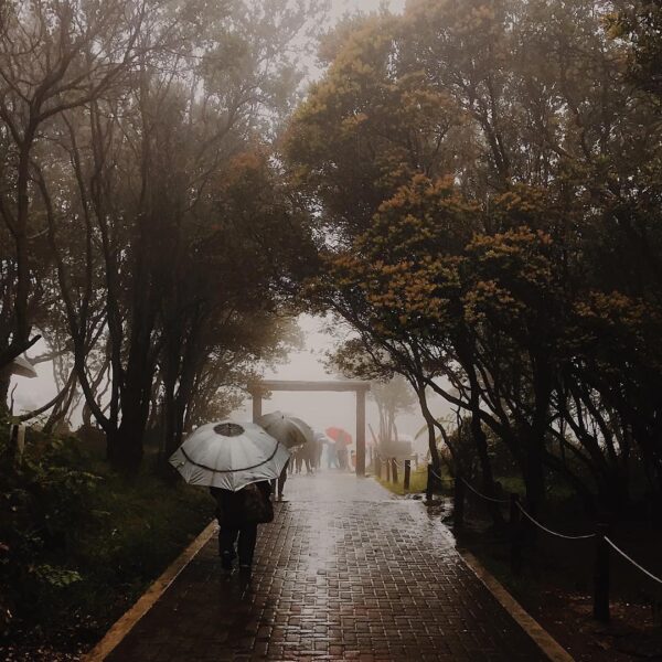 The fog that shrouds your view will soon disappear eventually. Captured by  #exp...