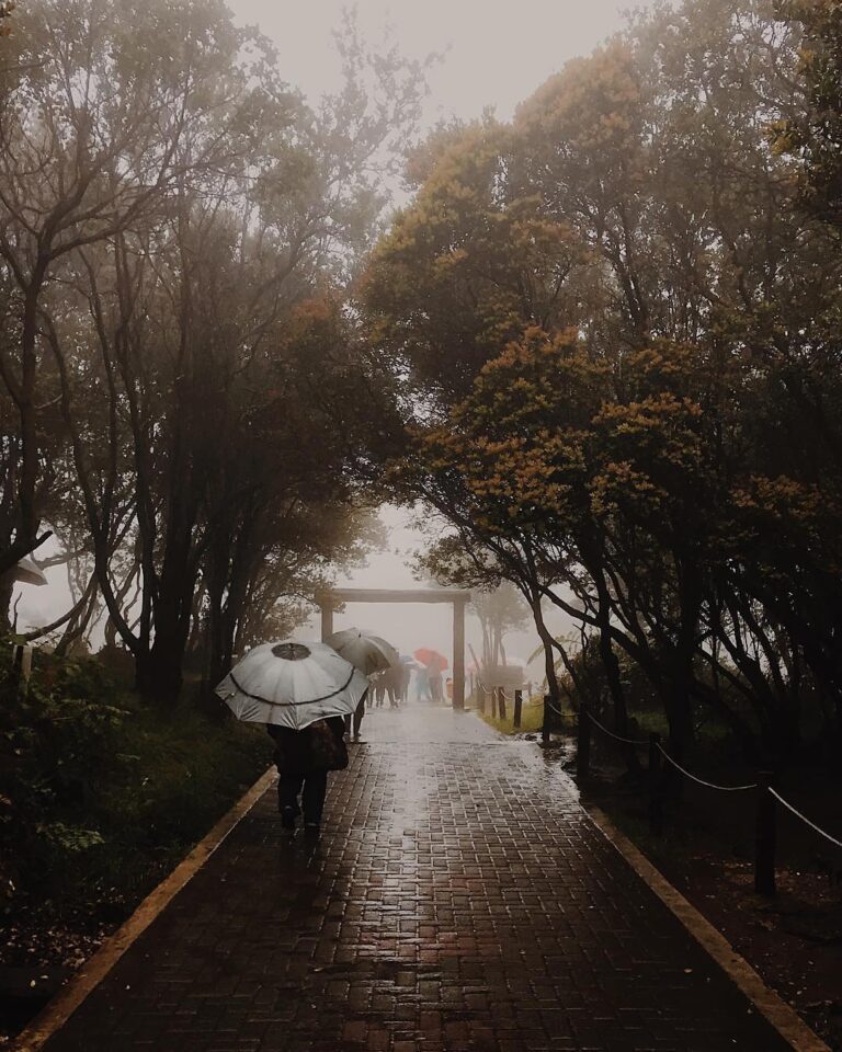 The fog that shrouds your view will soon disappear eventually. Captured by  #exp...