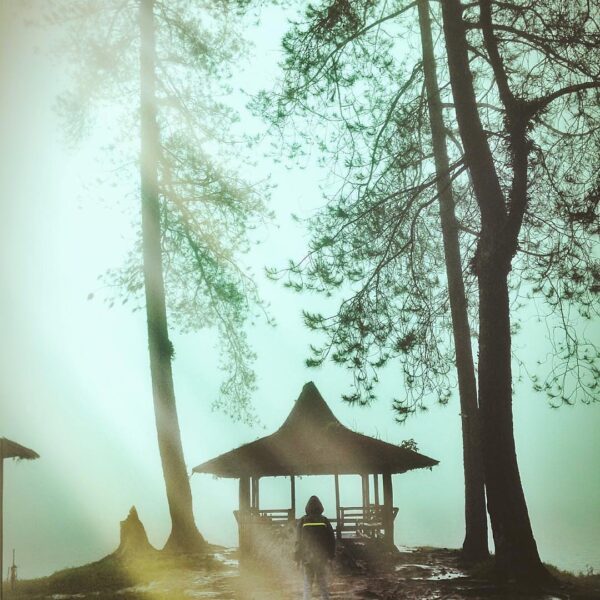 The perfect remedy to heartache and sorrow is to go outside somewhere where you ...