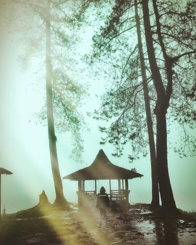 The perfect remedy to heartache and sorrow is to go outside somewhere where you ...