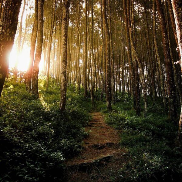 The valuable journey begins with one step. Photo by  #explorebandung...
