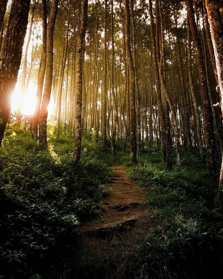 The valuable journey begins with one step. Photo by  #explorebandung...