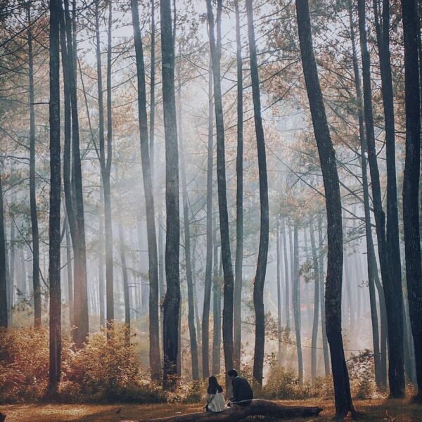 The woods are lovely but not as lovely as when you’re enjoying it with the one t...