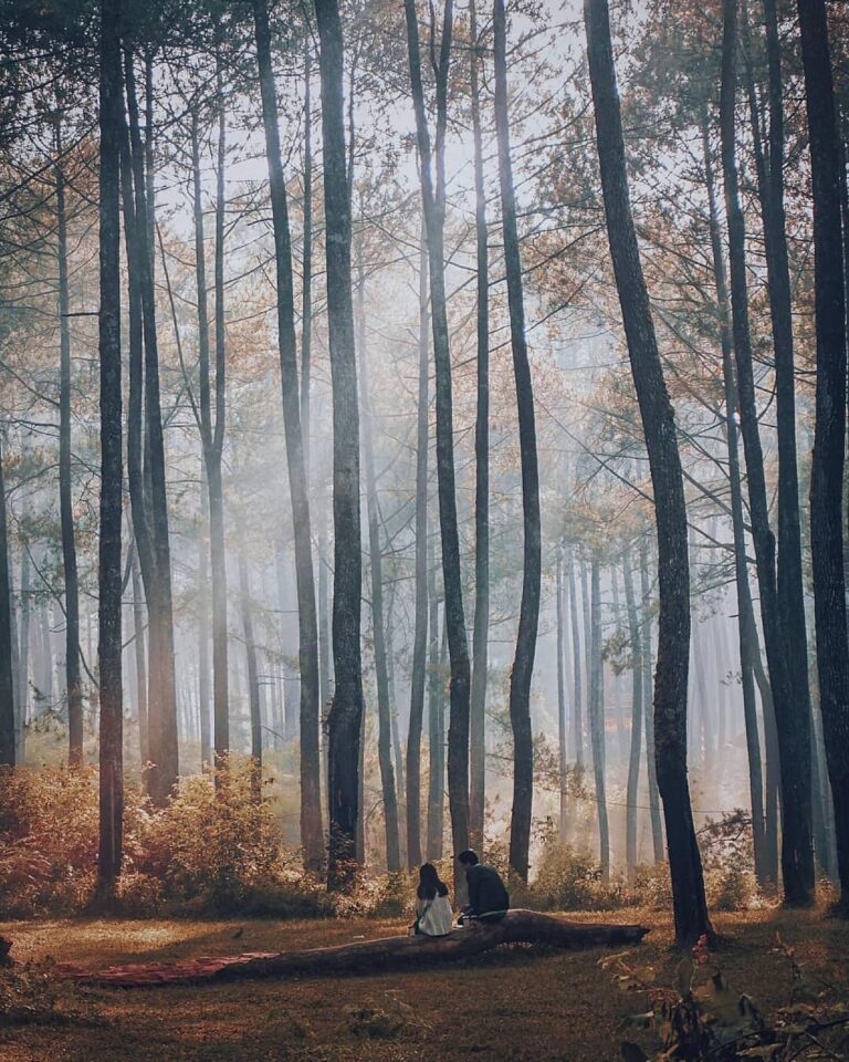 The woods are lovely but not as lovely as when you’re enjoying it with the one t...