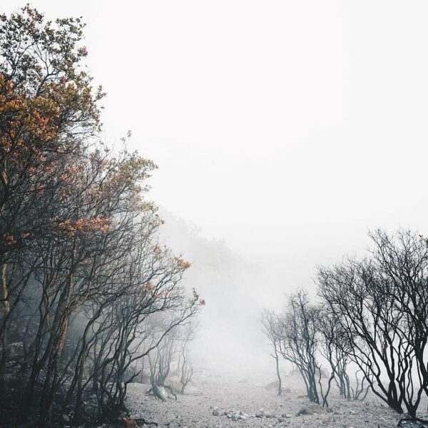 You’ll find yourself when you’re lost. Kawah Putih beautiful mist captured by  #...