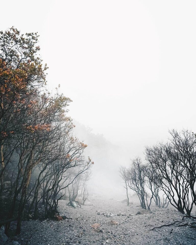 You’ll find yourself when you’re lost. Kawah Putih beautiful mist captured by  #...