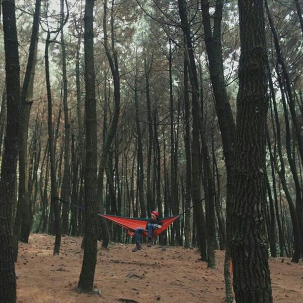 A day in the woods ↟ ↟ 
Photo taken at Mt. Halimun by  #exploresukabumi...