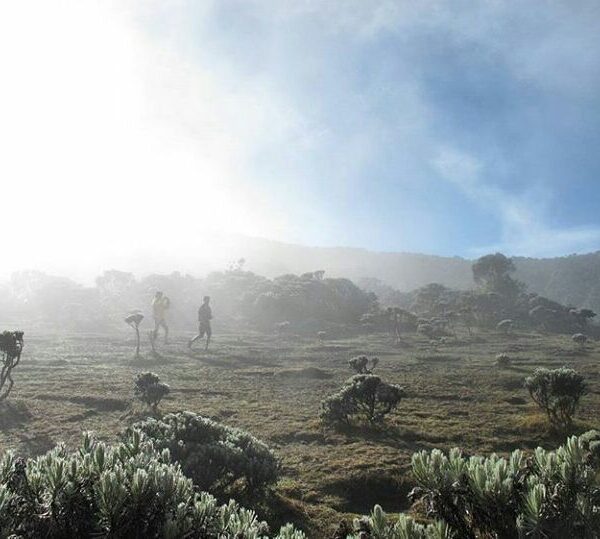 "Kami masih berada di dalam kantung tidur. Seketika suara para pendaki yang lain...