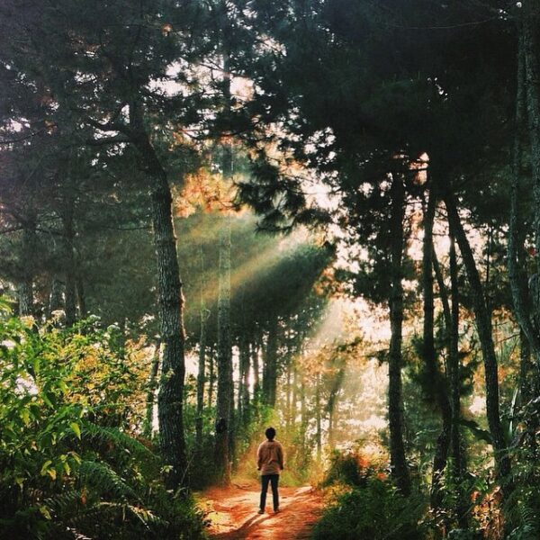 #explorebandung Photo today by  taken around Patahan Lembang #bandungjuara...