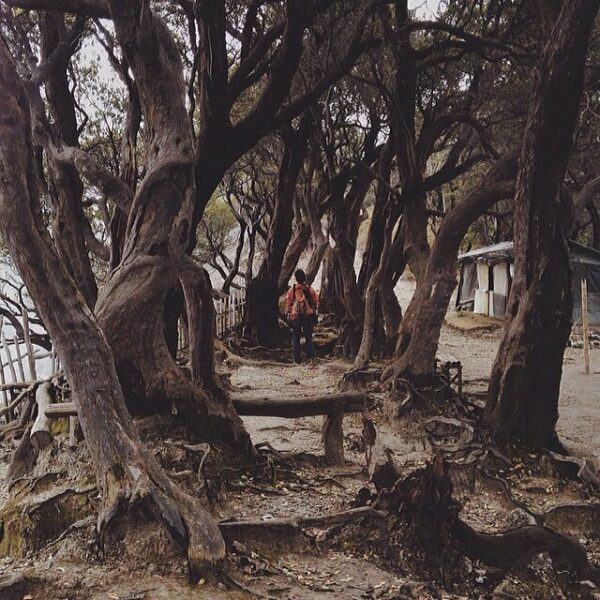 #explorebandung Photo today by  taken at Gunung Tangkuban parahu #bandungjuara...
