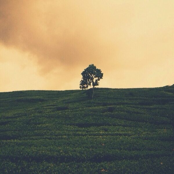 #explorebandung Photo today by  taken at Situ patengan #bandungjuara...